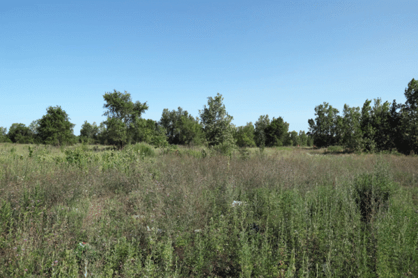 Part of the former U.S. Steel South Works site